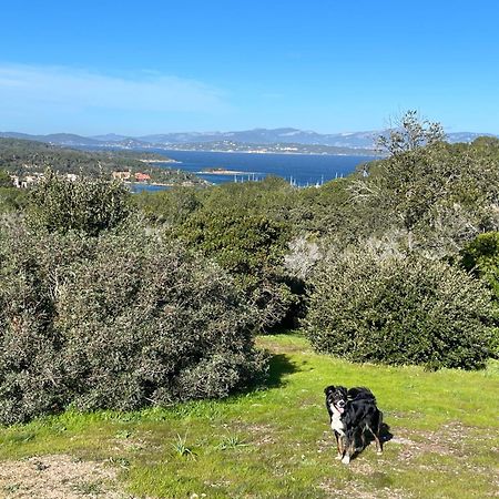Latitudes 43 Leilighet Porquerolles Eksteriør bilde