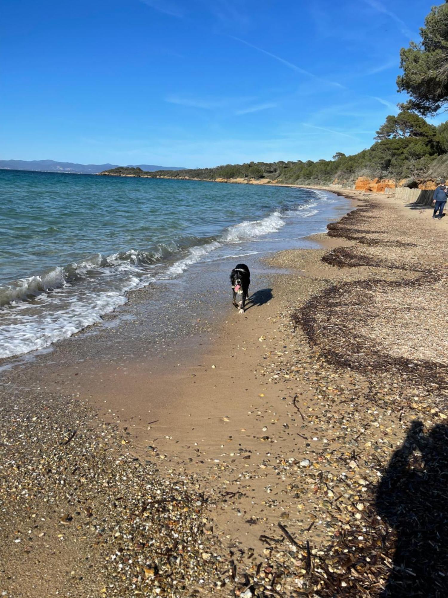 Latitudes 43 Leilighet Porquerolles Eksteriør bilde